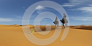 Caravan of camel in the sahara desert