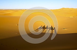 A caravan of camels. Desert in Morocco