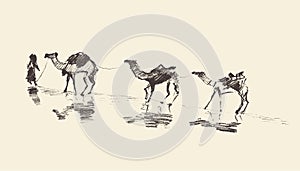 Caravan Camels Desert Vector Illustration Sketch