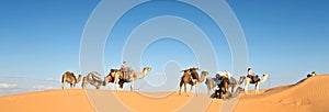 Caravan of camels in the Sand dunes desert of Sahara, South Tunisia