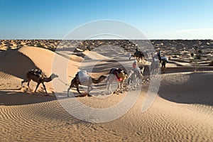 Caravan of camels in the Sand dunes desert of Sahara