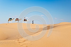 Caravan of camels in the Sand dunes desert of Sahara