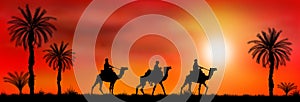Caravan of camels at sunset