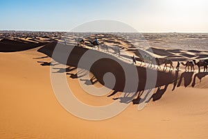 Caravan of camels walking in dunes