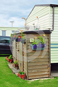 Caravan camp, shed, flowers, geese figures