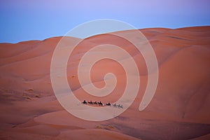 Caravan crossing in Sahara Desert, Morocco