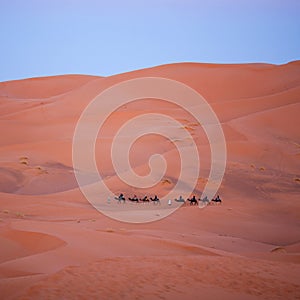 Caravan crossing in Sahara Desert, Morocco