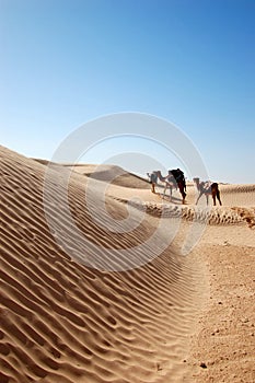 Caravan in desert Sahara