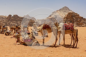A caravan in the Jordanian desert