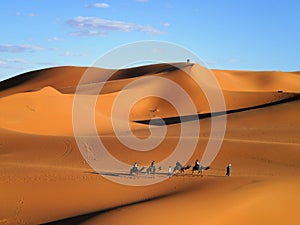 Caravan in Sahara Desert, Morocco photo