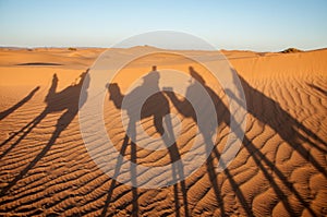 Caravan shadow, Hamada du Draa (Morocco)