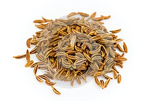 Caraway