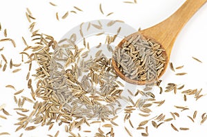 Caraway (Carum carvi) seeds