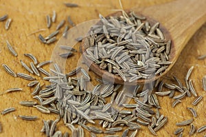 Caraway (Carum carvi) seeds