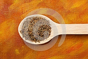 Caraway fruits on wooden spoon