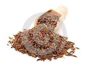 Caraway seeds photo