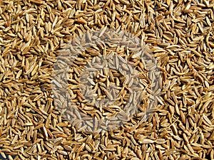 Caraway seeds background photo