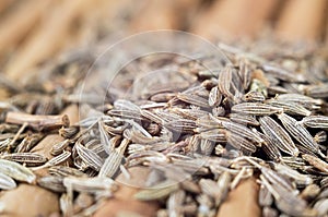 Caraway seeds background