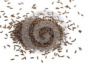 CARAWAY SEEDS carum carvi AGAINST WHITE BACKGROUND