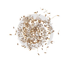 Caraway seeds isolated on white background