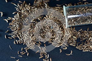 Caraway seeds are particularly popular in Jewish