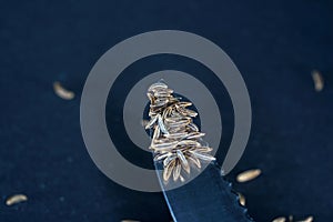 Caraway seeds are particularly popular in Jewish