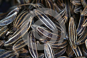 Caraway seeds are particularly popular in Jewish