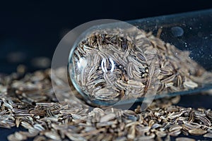 Caraway seeds are particularly popular in Jewish photo