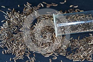 Caraway seeds are particularly popular in Jewish photo