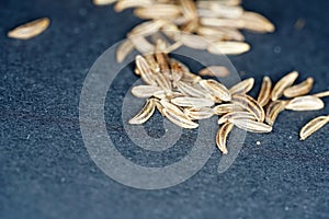 Caraway seeds are particularly popular in Jewish photo