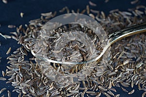 Caraway seeds are particularly popular in Jewish photo