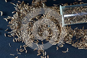 Caraway seeds are particularly popular in Jewish photo