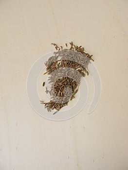 Caraway seeds on a wooden board