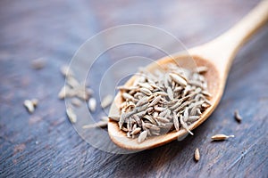 Caraway seeds on wooden spoon