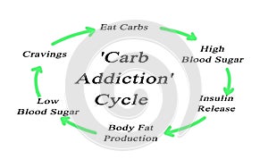 Carb Addiction Cycle