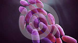 Carbapenem-resistant Enterobacteriaceae photo