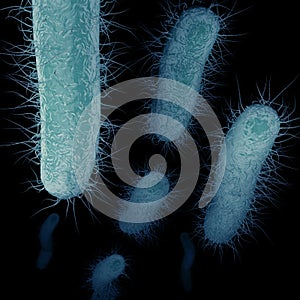 Carbapenem-Resistant Enterobacteriaceae (CRE) Swimming photo