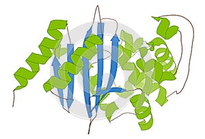 Carbapenemase carbapenem antibiotic resistance enzyme. Carbapenemase OXA-24 from the bacterium Acinetobacter baumannii