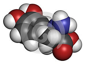 Carbidopa Parkinson\'s Disease drug. Prevents peripheral breakdown of levodopa, allowing more L-DOPA to reach the brain