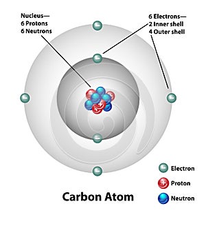 Carbon Atom Molecular Structure Labels