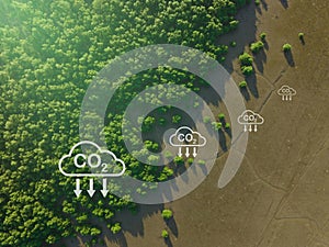 Carbon capture concept. Natural carbon sinks. Mangrove trees capture CO2 from the atmosphere. Aerial view of green mangrove forest