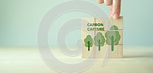 Carbon capture and storage concept. Cabon offset and reducing co2 target.