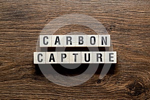 Carbon capture - word concept on building blocks, text