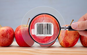 Carbon footprint bar code label on apple magnified by magnifying lens