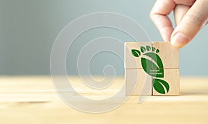 Carbon Footprint ,eco friendly, zero emission concept. Carbon ecological footprint symbols with green leaves on wooden cubes. Sust