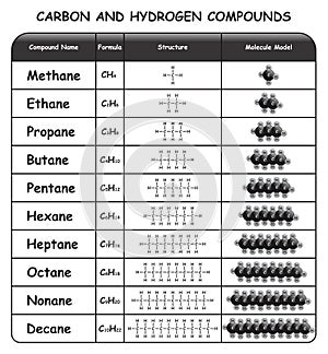 Carbon and Hydrogen Compounds Infographic Diagram photo