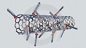 A carbon nanotube conjugated with Sodium Dodecyl Sulfate molecules photo