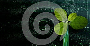Carbon Nautral, ESG Concepts. Green Leaf inside a Computer Circuit Board. Growth. Environmental, Business and Technology Growth photo
