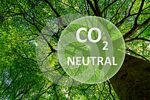 Carbon neutral concept. CO2 neutral in circle logo on green tree in the forest. Environment day and earth day background. Eco