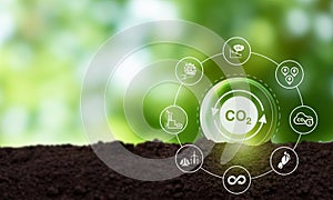 Carbon neutrality concept. Green business transformation and commitment